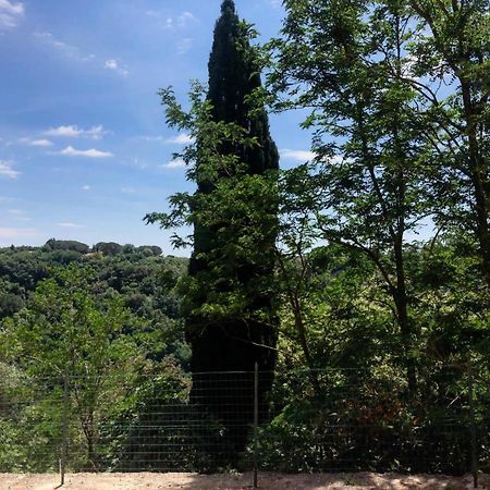 La Casa All'Oliveto Pitigliano Exteriér fotografie