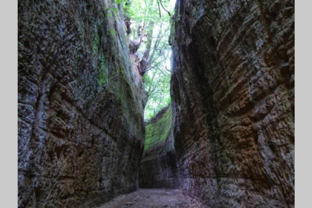 La Casa All'Oliveto Pitigliano Exteriér fotografie